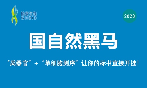 國(guó)自然黑馬 |“類器官 + 單細(xì)胞測(cè)序”讓你的標(biāo)書(shū)直接開(kāi)掛！