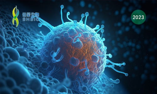 文獻(xiàn)解讀 | CAR-NK 細(xì)胞治療后代謝適應(yīng)性的喪失會導(dǎo)致腫瘤產(chǎn)生耐藥性，并且可以通過細(xì)胞因子工程來克服