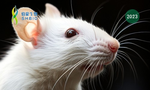 ?Sci Adv| 基于高通量單細(xì)胞分析揭示小鼠整個(gè)生命周期的線粒體 DNA 異質(zhì)性