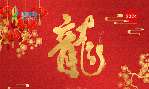 網(wǎng)站封面 - 恢復的龍年