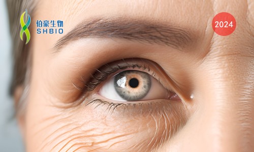 項(xiàng)目文章 | 單細(xì)胞核轉(zhuǎn)錄組測(cè)序揭示放療誘導(dǎo)細(xì)胞衰老重塑膠質(zhì)瘤免疫微環(huán)境與腫瘤復(fù)發(fā)機(jī)制研究