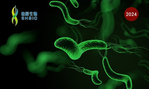 CRISPR 智庫(kù) | CRISPR 關(guān)注寵物健康——人畜共患幽門(mén)螺桿菌現(xiàn)場(chǎng)快速檢