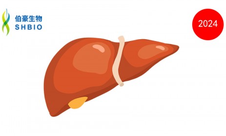 文獻(xiàn)解讀 | 人肝臟單核 RNA 測(cè)序表明 BMPR2、GDF15、精氨酸和雌激素與門脈高壓有關(guān)