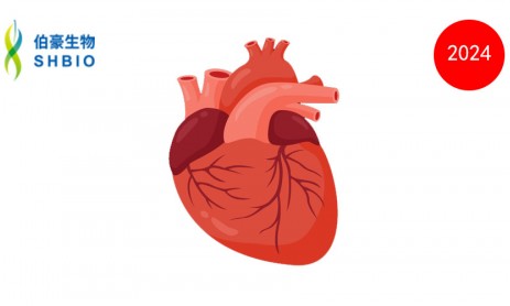 文獻(xiàn)解讀 | 單細(xì)胞基因組學(xué)有助于發(fā)現(xiàn)房顫的風(fēng)險(xiǎn)變異和基因