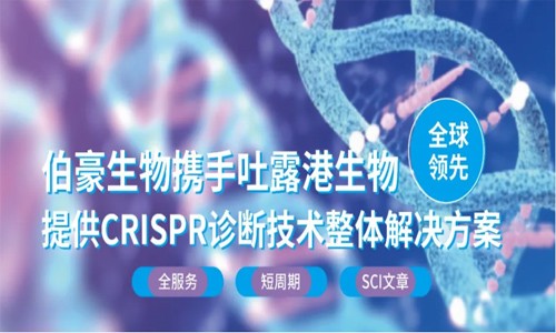 CRISPR 智庫 | 不依賴 PAM 序列，CRISPR-Cas12a 能超特異性靶向 dsDNA 嗎？