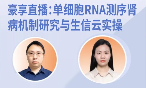 豪享直播 | 單細(xì)胞 RNA 測序腎病機制研究與生信云實操