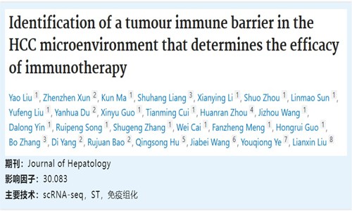 文獻(xiàn)解讀 | HCC 微環(huán)境中腫瘤免疫屏障對免疫治療療效的影響