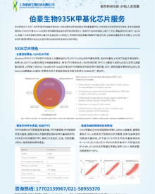 單頁(yè) |935K 甲基化芯片服務(wù)