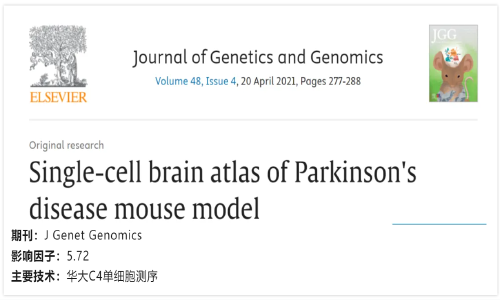 文獻解讀 | 帕金森病小鼠模型腦單細胞圖譜