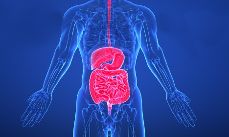 項目文章 | 腸道粘膜免疫細(xì)胞分析顯示，在免疫無反應(yīng)者中，濾泡或記憶 B 細(xì)胞與漿細(xì)胞之間存在分化阻礙