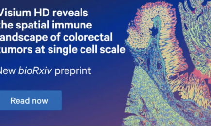 Visium HD 預(yù)印本全球首發(fā) - 探秘結(jié)腸癌微環(huán)境?。▋?nèi)含促銷福利）