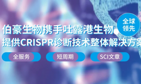 CRISPR 智庫 | CRISPR-Cas12a 系統(tǒng)實(shí)現(xiàn)豬鏈球菌病現(xiàn)場(chǎng)快檢