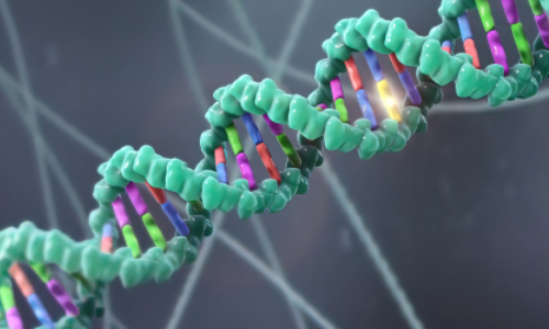 FFPE 樣本時空組學解決方案