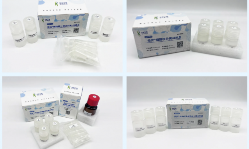 伯優(yōu)細胞核分離試劑盒應用文章速覽