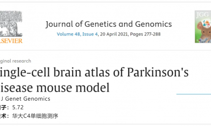 文獻解讀 | 帕金森病小鼠模型腦單細胞圖譜