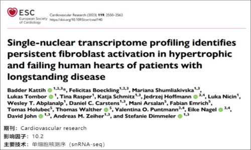 文獻(xiàn)解讀 | 單核轉(zhuǎn)錄組揭示長(zhǎng)期肥厚和衰竭的人類心臟中成纖維細(xì)胞持續(xù)激活