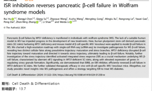 文獻(xiàn)解讀 | 在 Wolfram 綜合征模型中抑制 ISR 能夠逆轉(zhuǎn)胰島 β 細(xì)胞衰竭