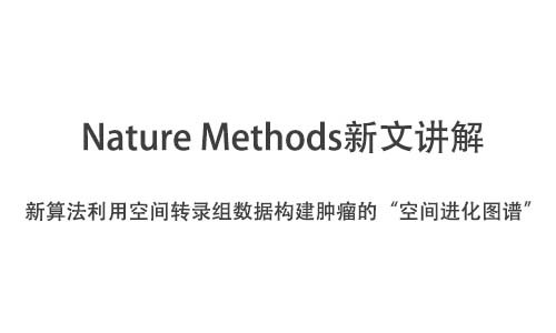 Nature Methods | 新算法利用空間轉(zhuǎn)錄組數(shù)據(jù)構(gòu)建腫瘤的“空間進化圖譜”
