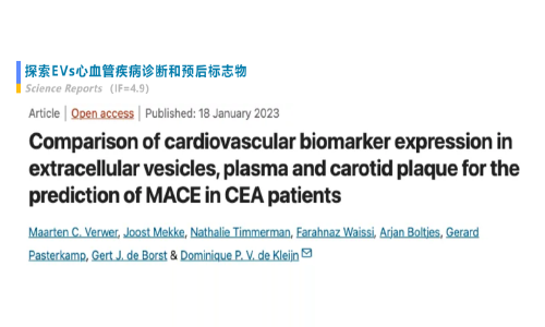 外泌體專題 II|Olink 精準(zhǔn)蛋白組學(xué)助力細(xì)胞外囊泡研究