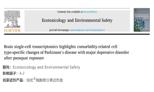 項目文章 | 腦單細胞轉(zhuǎn)錄組學(xué)結(jié)果揭示了：百草枯對帕金森病伴重度抑郁癥的共病相關(guān)細胞類型特異性變化的影響
