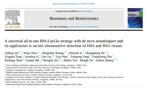 CRISPR 智庫 | CORDSv2：一鍋法 RPA-Cas12a 體系檢測(cè) DNA/RNA 病毒