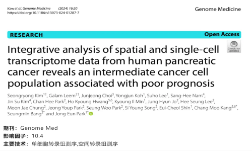 文獻解讀 | 單細胞空間轉(zhuǎn)錄組聯(lián)合分析揭示了與胰腺癌預后不良相關(guān)的中間態(tài)癌細胞群