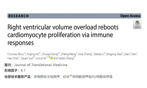 項(xiàng)目文章 | 單細(xì)胞轉(zhuǎn)錄組測(cè)序揭示右心室容量超荷會(huì)通過免疫反應(yīng)重啟心肌細(xì)胞的增殖