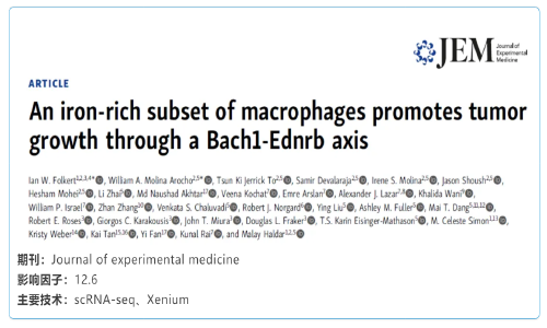 單細(xì)胞空間原位檢測(cè)技術(shù) | 富含鐵的巨噬細(xì)胞亞群通過(guò) Bach1-Ednrb 軸促進(jìn)腫瘤生長(zhǎng)
