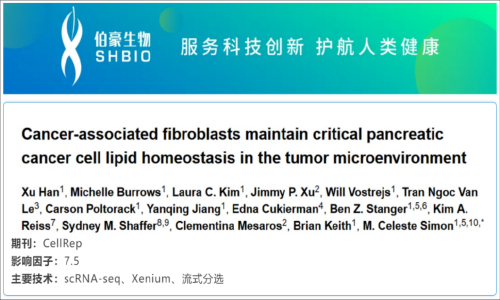 單細(xì)胞空間原位檢測(cè)技術(shù)丨癌癥相關(guān)成纖維細(xì)胞在腫瘤微環(huán)境中維持關(guān)鍵的胰腺癌細(xì)胞脂質(zhì)穩(wěn)態(tài)