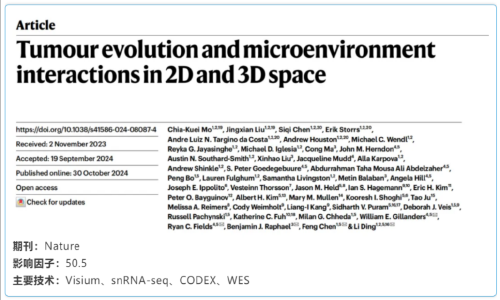 單細(xì)胞空間原位檢測(cè)技術(shù)丨空間組學(xué)重構(gòu) 2D 和 3D 腫瘤演化與微環(huán)境互作