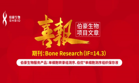 項目文章 | 單細胞轉(zhuǎn)錄組學揭示 CCN2 在膝關(guān)節(jié)纖維化中如何調(diào)控成纖維細胞與巨噬細胞的相互作用