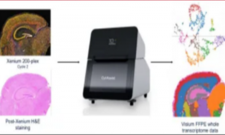 突破極限！單張樣本完成 Xenium+Visium HD 全流程實驗及分析！
