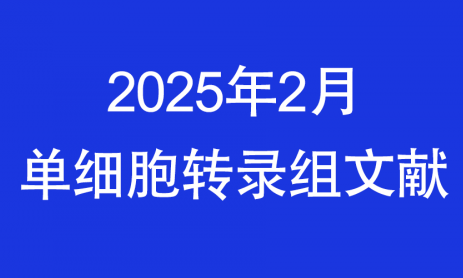 2025 頂刊文獻速遞 | 單細胞轉(zhuǎn)錄組系列（2 月）