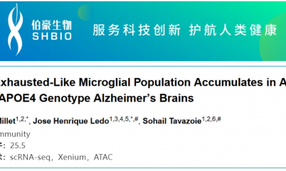 單細胞空間原位檢測技術(shù) | 耗竭樣小膠質(zhì)細胞在老年和 APOE4 型阿爾茨海默癥患者大腦中富集
