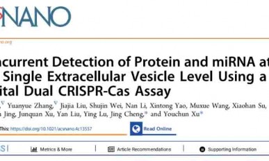 CRISPR 智庫(kù) | 數(shù)字雙 CRISPR-Cas 系統(tǒng)：EVs 蛋白及 miRNA 多重檢