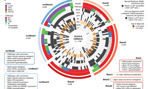 Nat Commun | 瑞典科學(xué)家繪制“乳腺癌之王”DNA 甲基化圖譜，揭示兩種表觀遺傳亞型