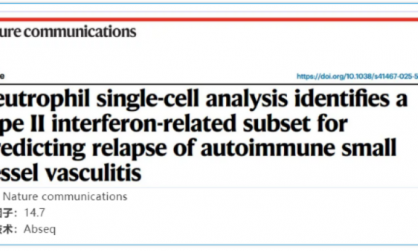 文獻解讀 | 中性粒細胞單細胞分析確定了 II 型干擾素相關子集，用于預測自身免疫性小血管血管炎的復發(fā)
