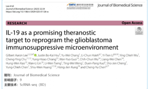 文獻解讀 | IL-19 在重編程膠質(zhì)母細胞瘤免疫抑制微環(huán)境中的靶點意義