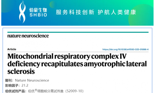 細胞核分離試劑盒應用文章 | 線粒體呼吸鏈復合體 IV 缺陷重現(xiàn)肌萎縮側(cè)索硬化癥表型