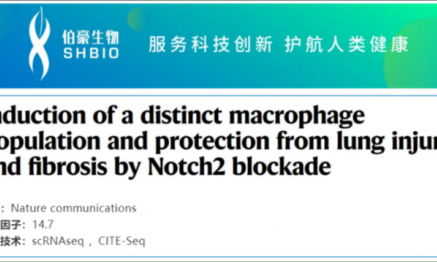 文獻解讀 | 通過 Notch2 阻斷誘導特殊的巨噬細胞群對肺損傷和纖維化起保護作用