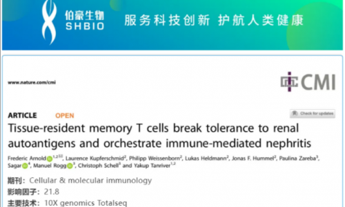 文獻解讀 | 組織駐留記憶 T 細胞參與免疫介導的腎炎