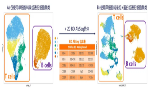 不僅可以攻克細(xì)胞亞群注釋難題！單細(xì)胞轉(zhuǎn)錄組聯(lián)合膜蛋白測(cè)序還可以……（內(nèi)含福利）