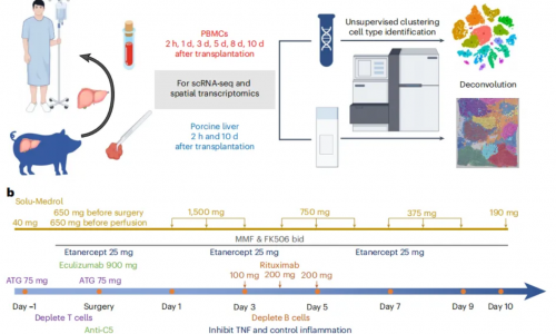 八月高分文獻速遞 | 空間轉(zhuǎn)錄組系列