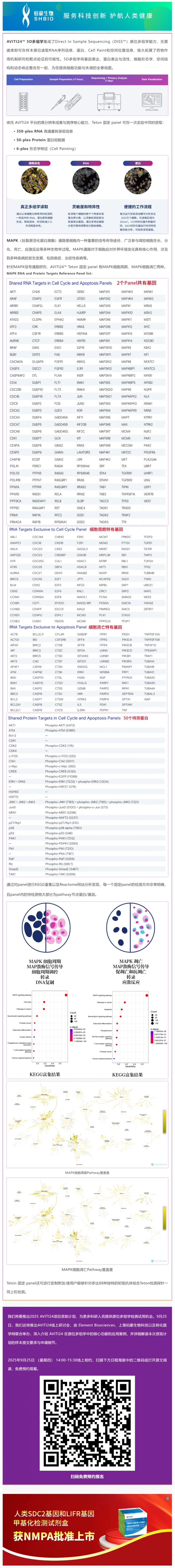 5D 原位多組學 AVITI24 靶向 panel——MAPK 細胞周期_細胞凋亡信號通路 panel