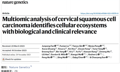 文獻(xiàn)解讀 | 多組學(xué)解析宮頸鱗癌腫瘤細(xì)胞生態(tài)系統(tǒng)及其臨床價(jià)值